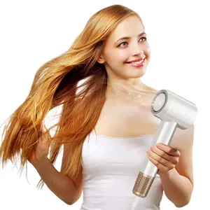 New Super Latest Silent Constant Anion Electric BLDC High Speed Hair Dryer Nozzle