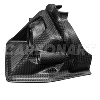 Cubierta de Fibra de Carbono Real de Repuesto para Ducati Diavel V4, Marca Carbonart
