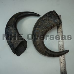 Friandises naturelles et résistantes pour chiens en corne de buffle, à mâcher saines et sûres pour la force dentaire et les chiens actifs - Product Image 3