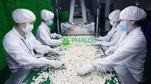 เม็ดมะม่วงหิมพานต์จากเวียดนาม WW240 WW180โรงงาน WW320ราคาไม่แพง - Product Image 2