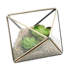 Hot Selling <b>Vintage</b> New Arrival Custom Terrarium <b>Vase</b> Planter Decorate in Metal Border for Home & Office Decor. - Product Image 3