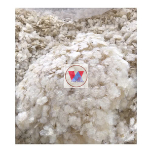 เครื่องชั่งน้ำหนักปลาแห้ง Barramundi สำหรับส่งออก - Product Image 1