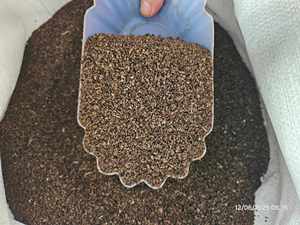 Pimienta negra con cabeza de alfiler de Vietnam 1mm/1,5mm/2mm/2,5mm-Sabor picante caliente, calidad superior, estándar de exportación - Product Image 4