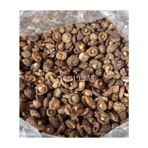 เห็ดหอมอบแห้งจำนวนมากจากเวียดนาม - Product Image 3