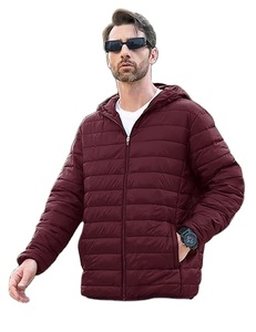 Vestes matelassées élégantes pour hommes, longues, à capuche, d'hiver, épaisses, légères, vêtements d'extérieur thermiques - Product Image 1