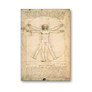 Leonardo Da Vinci's Vitruvian Man Anatomy <b>Poster</b> Durable Paper for Wall Decor - Product Image 1