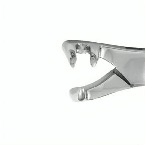 REHMAT NOOR INDUSTRY Instrumentos Dentales Veterinarios Equinos RN-FFLNF-001 Equipos de Limpieza y Obturación Dental con Turbina - Product Image 1