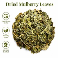 Feuilles de mûrier de qualité supérieure pour l'exportation, pour des thés et des boissons sains à base de plantes, vente en gros