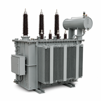 Transformateur de surtension pour énergies renouvelables 80MVA ou 100MVA 33kV ou 35kV vers 132kV ou 220kV 50Hz ou 60Hz immergé dans l'huile