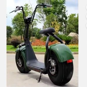 สกู๊ตเตอร์ไฟฟ้า BEST SALE รุ่น 14 C2 City__coco สำหรับเด็ก Gogo Delivery Gas Urban 3000w สกู๊ตเตอร์ 3 ล้อ ใช้แก๊ส - Product Image 4