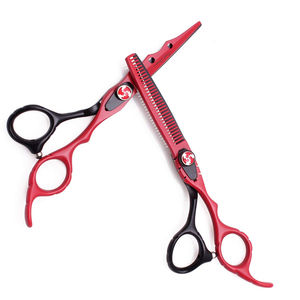 Ciseaux de coupe de cheveux professionnels 6.0 ciseaux de beauté en acier inoxydable pour l'amincissement et la texturation - Product Image 6