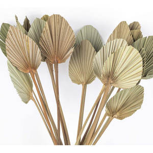 Herramienta de torneado de arreglo de algodón hecha de material de algodón duradero - Product Image 2