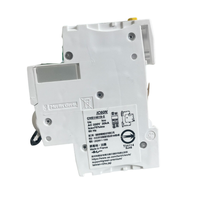 Disjoncteur miniature Schneider Acti 9 10KA 2 pôles 10A courbe D MCB