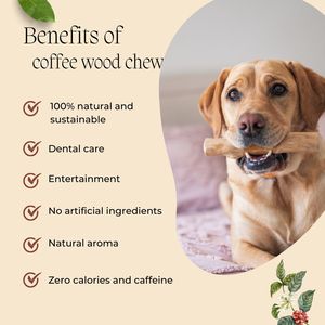 Palitos de Madera Natural para Masticar para Perros de Todos los Tamaños, Juguete para Mascotas para Limpiar los Dientes, Patrón Sólido, Uso en Interiores, Sabor Original - Product Image 3
