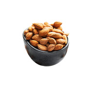 Noyaux d'abricot de qualité A1 |   Durée de conservation de 3 ans |   Emballage en vrac, approvisionnement en gros, B2B |   Kohenoor International |   Fabriqué au Pakistan |