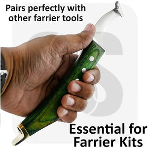 Cuchillo para Cascos de Caballos con Hoja Curva de Acero Inoxidable para Zurdos, con Mango Verde para el Recorte de Cascos de Caballos - Servicio OEM/ODM - Product Image 6