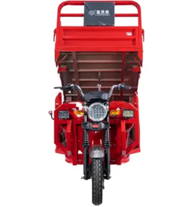 Gasoline Engine Rickshaw Cargo Tricycle 250CC Motorized Open Body Two Seat Adult <b>3</b> <b>Wheel</b> 501-800W 60V - Product Image 3