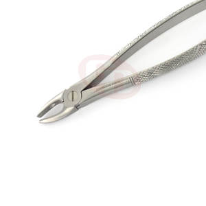Jeu de forceps dentaires personnalisés pour l'extraction chirurgicale et clinique des dents - Product Image 6