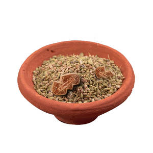 Ajwain (carambola) | Secado ecológico | Producto de hierbas auténtico - Product Image 6
