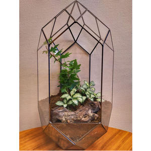 Clear Glass <b>Geometric</b> <b>Terrarium</b> Planter Vase Black Coated Handcrafted <b>Terrarium</b> Vase in Wholesale Prices for Home & Garden Decor - Product Image 2