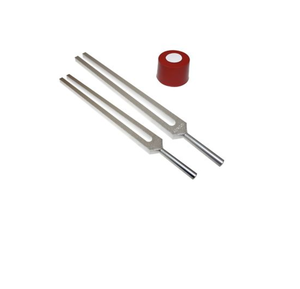 Diapasones para Reducción de Celulitis y Grasa + Activador y Bolsa.. - Product Image 3