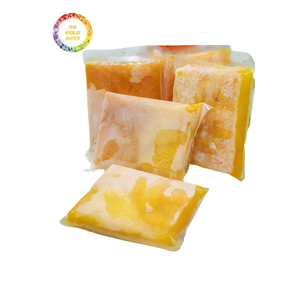 Puré de Mango Tropical Congelado Premium, Pulpa de Mango IQF a Granel de Alta Calidad para Bebidas y Jugos - Product Image 4
