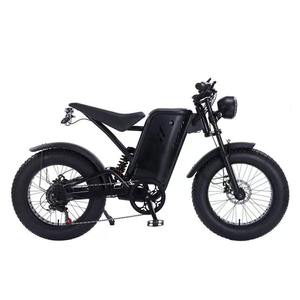 Nueva Bicicleta Eléctrica Industrial de Doble Motor para Adultos con Neumáticos Anchos, Cuadro de Acero, 3 Años de Garantía, OEM - Product Image 3