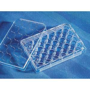 Plaque Corning Costar 24 puits fond plat en plastique jetable traité TC avec couvercle stérile OEM pris en charge pour les applications médicales - Product Image 2