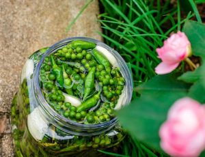 Pimienta verde en lata, pimienta salada en salmuera - Product Image 6