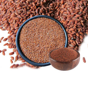 Berro | Hierba Eco Cosechada para Industrias Alimentarias Gourmet - Product Image 2