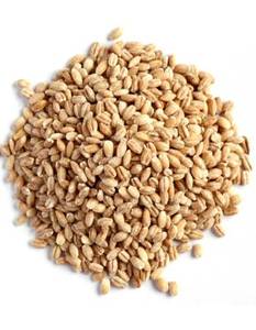 Cebada de alimentación orgánica al mejor precio al por mayor para animales y humanos - Product Image 1