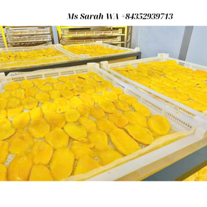 Mangue séchée douce savoureuse naturelle en tranches: collation de fruits biologiques déshydratés de qualité supérieure, processus de séchage AD, tranches de mangue. - Product Image 4