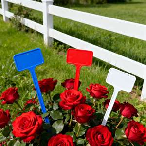 Тип T: Длинные, толстые, пластиковые, современные, легкие маркеры для растений, этикетки, садовые бирки, водонепроницаемые, с возможностью выбора цвета - Product Image 6