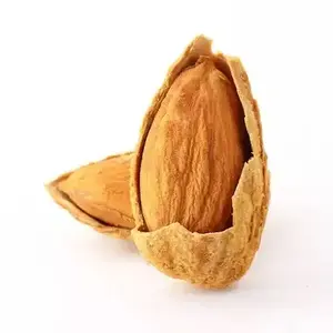 Eksportir terbaik kacang Almond mentah dan panggang
