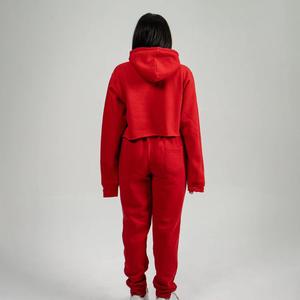 Nuevo Conjunto Deportivo de 2 Piezas para Mujer, con Logotipo Personalizado, Estilo Moderno, Transpirable, Top Corto y Sudadera con Capucha para Correr - Product Image 2