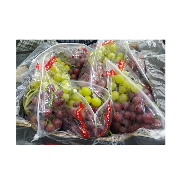 Vente en gros de qualité supérieure doux délicieux fruits frais raisins verts/raisins rouges/raisins noirs fournisseur