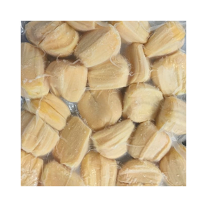 Vietnam Frozen Jackfruit Available For Wholesale Delivery In Bulk Packaging Worldwide - Product Image 5