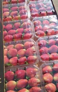 Fraise de luxe ICHIKI-HIME fraîche 250 Gr Emballage-Pérou Origine Meilleure qualité Meilleur prix - Product Image 2