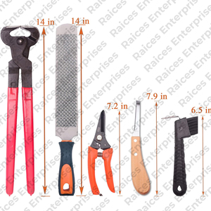 Kit d'outils de maréchal-ferrant en acier inoxydable de qualité supérieure 2025 nouveauté Kit de sabot de maréchal-ferrant au prix de gros - Product Image 5