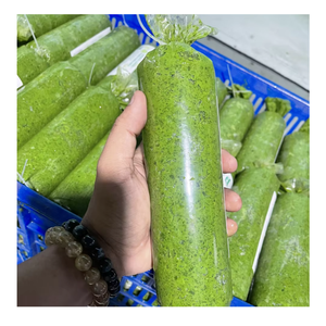 Hojas de mandioca congeladas procesadas para estabilidad y envío seguro con Molienda Fina en Vietnam y fuerte calidad de embalaje - Product Image 5