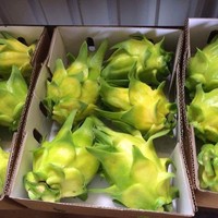 Topkwaliteit verse drakenvruchten uit Vietnam, rood-geel, natuurlijke zoetheid, voor export