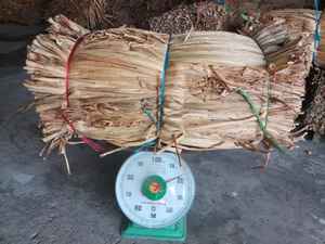 Jacinto de agua seca para hacer artesanías Pacas de jacinto de agua seca Cantidad a granel Listo para exportar Origen de Vietnam - Product Image 6