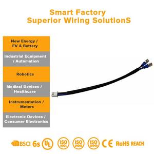 Fabricante de Conjuntos de Fiação Eletrônica de Precisão e Montagem de Cabos Dupont JST Molex TE com Serviço de Design Personalizado - Product Image 3