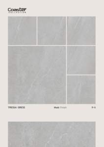 600x600mm Matt Finish Vitrified GVT PGVT <b>Tiles</b> Modern <b>Coaster</b> Collection for Interior Floors and Walls for Hotels - Product Image 6
