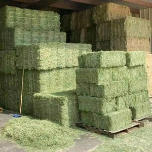 Foin d'alfalfa de qualité supérieure d'origine australienne, 18-20 % de protéines, pour l'exportation vers les marchés asiatiques et du Moyen-Orient, commande en gros - Product Image 2