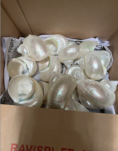 Luxury Seashell <b>Wine</b> Glass Decorated with Real Shell Accents Ideal for Coastal Dining Wedding Tables and <b>Gift</b> <b>Sets</b> - Product Image 5