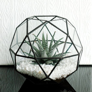 Terrarium en verre dernier modèle pour plantes verre géométrique avec accessoires salon et bureau déco cadeau fait main enduit noir - Product Image 5
