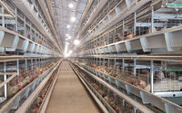 Nouveau système de cages automatiques pour poules pondeuses, système d'alimentation et d'abreuvement intelligent, en acier galvanisé, gain de place pour l'élevage moderne
