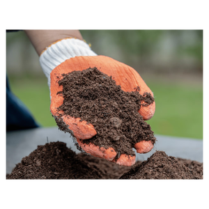 Distribuidor mayorista de turba que ofrece entrega rápida en todo el mundo - Product Image 2