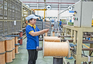 La cuerda de pesca resistente al por mayor resiste las demandas de los entornos de pesca de Vietnam - Product Image 6